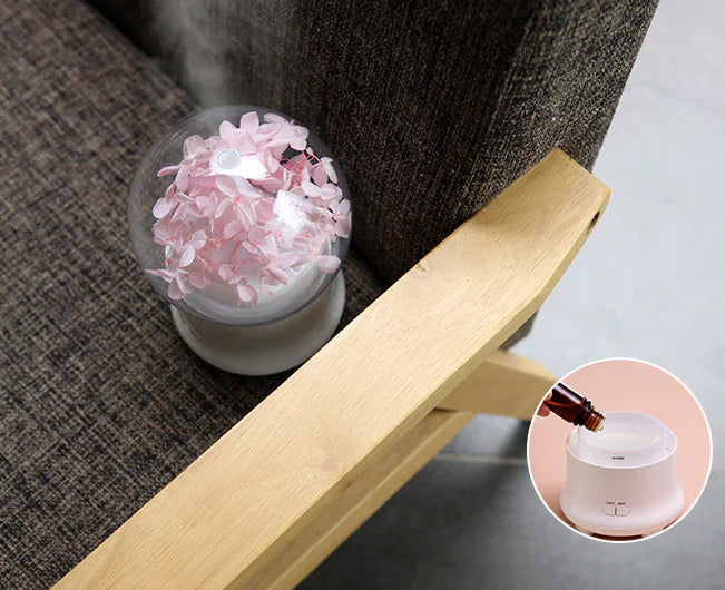 Air Purifier, Humidifier, Preserved Flower Diffuser DOCKS STORE <meta name="google-site-verification" content="Rseatwsa1XUA-B6YrmtW5G83__ddNfX79_2rJDzA1ys" />