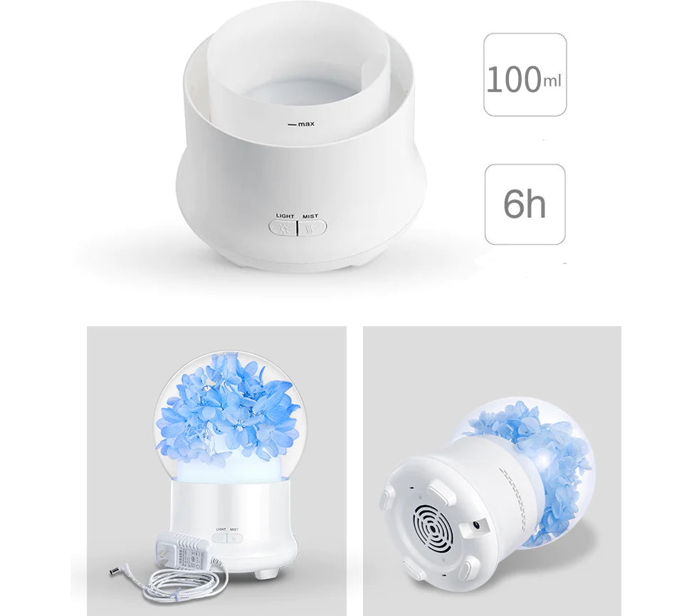 Air Purifier, Humidifier, Preserved Flower Diffuser DOCKS STORE <meta name="google-site-verification" content="Rseatwsa1XUA-B6YrmtW5G83__ddNfX79_2rJDzA1ys" />